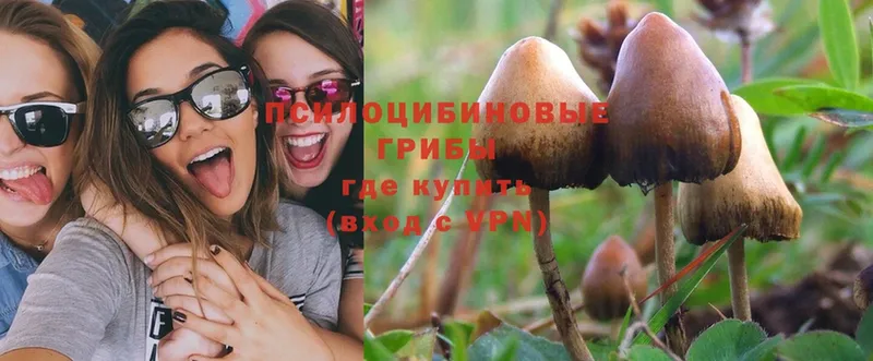 даркнет сайт  hydra tor  Галлюциногенные грибы Psilocybe  Долинск 